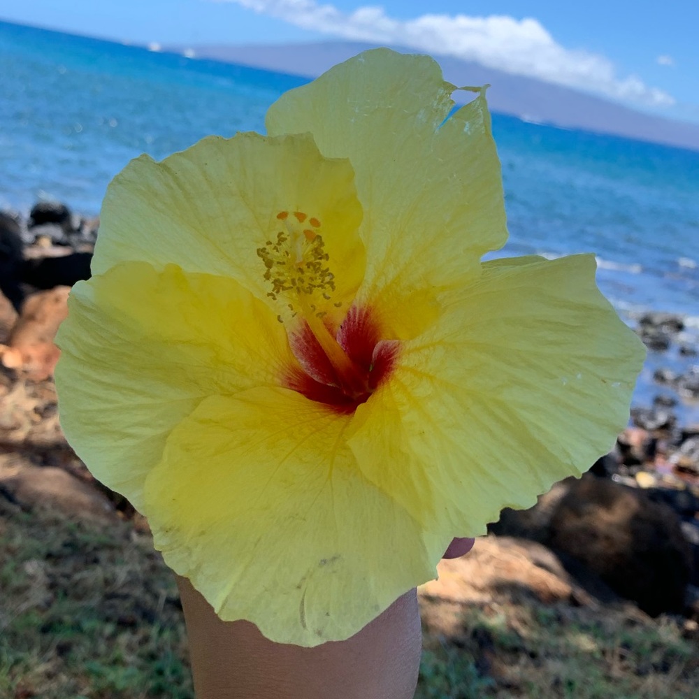 Meet your Posher, Dianne